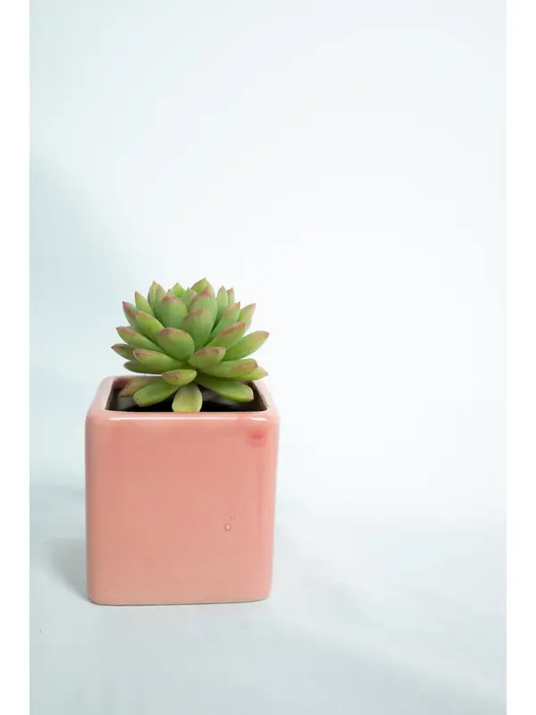 Pot Mini Pot Keramik Pot Kotak Pot Tanaman Hias Motif Kotak Berbagai Macam Warna
