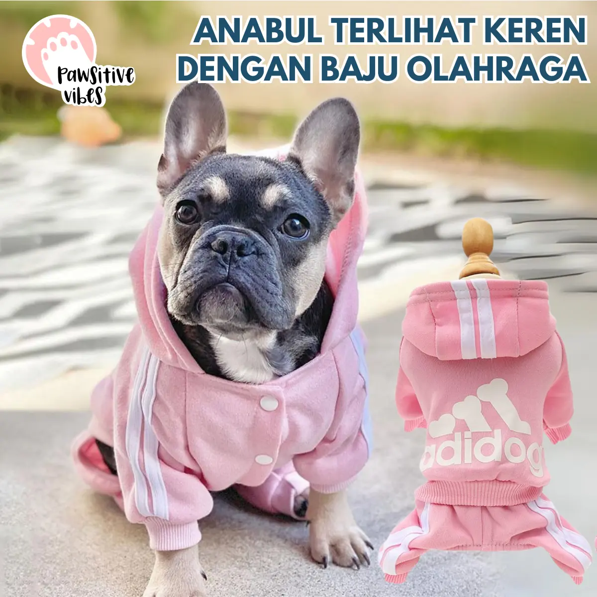 Pawsitive Vibes Set Baju dan Celana Olahraga Anabul Berkualitas Tinggi Motif Adidog untuk Kucing dan Anjing