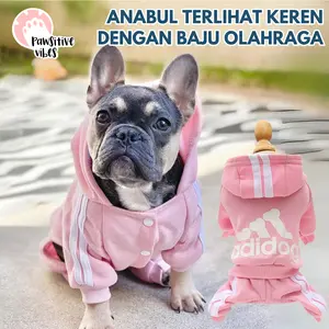 Pawsitive Vibes Set Baju dan Celana Olahraga Anabul Berkualitas Tinggi Motif Adidog untuk Kucing dan Anjing