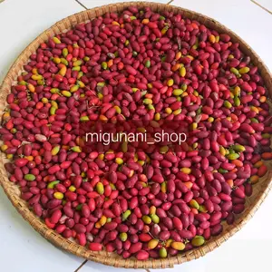 buah mlinjo biji melinjo 1kg merah kuning hijau