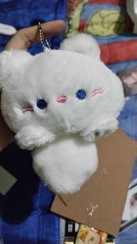 Product Review of Plushie Keyring Doll Enhypen from M**y 0
