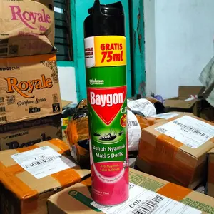 Baygon flower garden 600ml+75ml