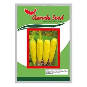 Benih jagung manis isi 250 gram"Baruna" biji jagung unggul