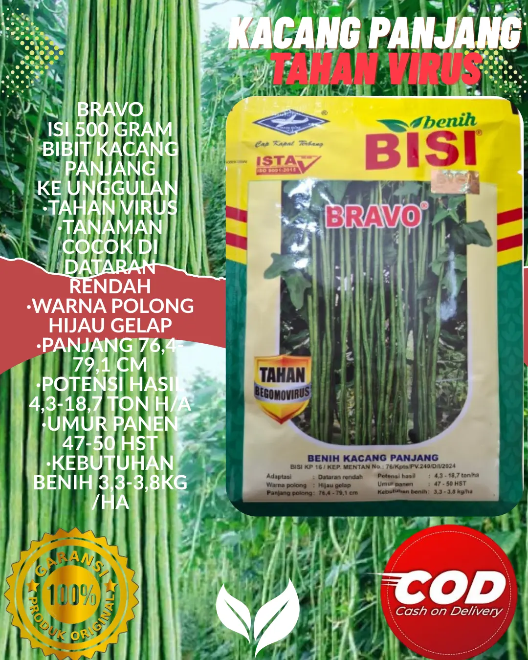 BRAVO 500GRAM,BENIH KACANG PANJANG TAHAN VIRUS Bibit Tanaman