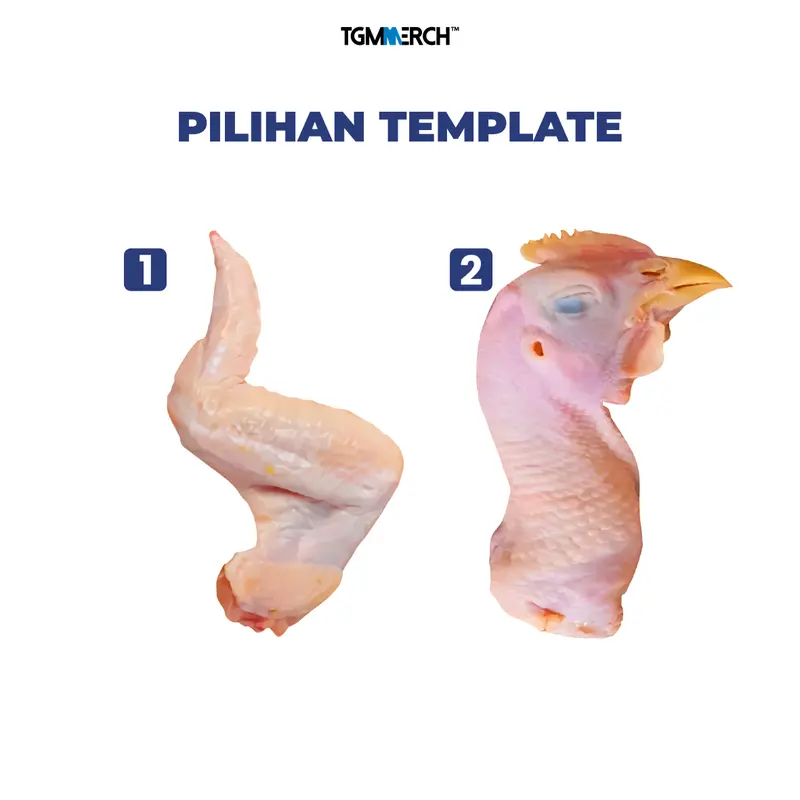 TGM MERCH - Bantal karakter Sayap Kepala Ayam 3