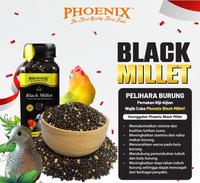 Gambar Grosir Phoenix Black Millet 1 Pack (6 Pcs) dari Phoenix Petfood Indonesia Kab. Bogor 4 Tokopedia