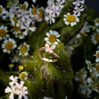 Gambar Cincin Berlian Wanda - Lucy - Ring - Rose gold dari Wanda House Of Jewels Kota Administrasi Jakarta Pusat 3 Tokopedia