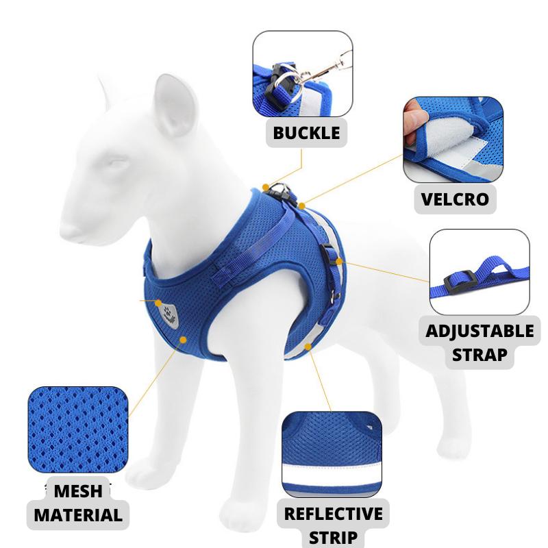 Product Introduction of Pet Adjustable Reflective Leash Vest Harness Walking Small and Medium Dogs and Cats 21