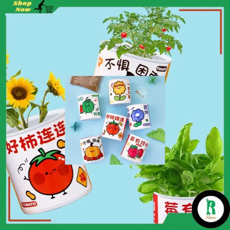 Tanaman Pot Mini Asli / Mini Potted Plant 0