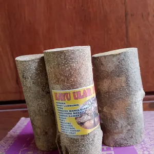 kayu ular papua ukuran besar Alami Sehat obat kebas