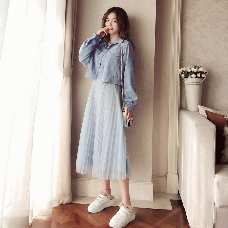Product Introduction of Váy Sợi Lưới, Dành Cho Phụ Nữ, Dài Trung Bình Váy Xếp Ly Chữ A, Phong Cách Cổ Tích Được Làm Bằng Sợi Lưới 20