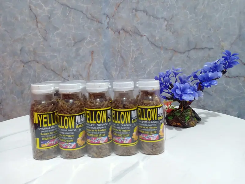 Pakan Ikan Maggot Color Bosster untuk Pertumbuhan Ikan yang Lebih Sehat 2