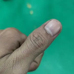 Clever Solutions - KutOff Shampoo. Shampoo kutu. Kutu anabul. SHampo khusus kutu