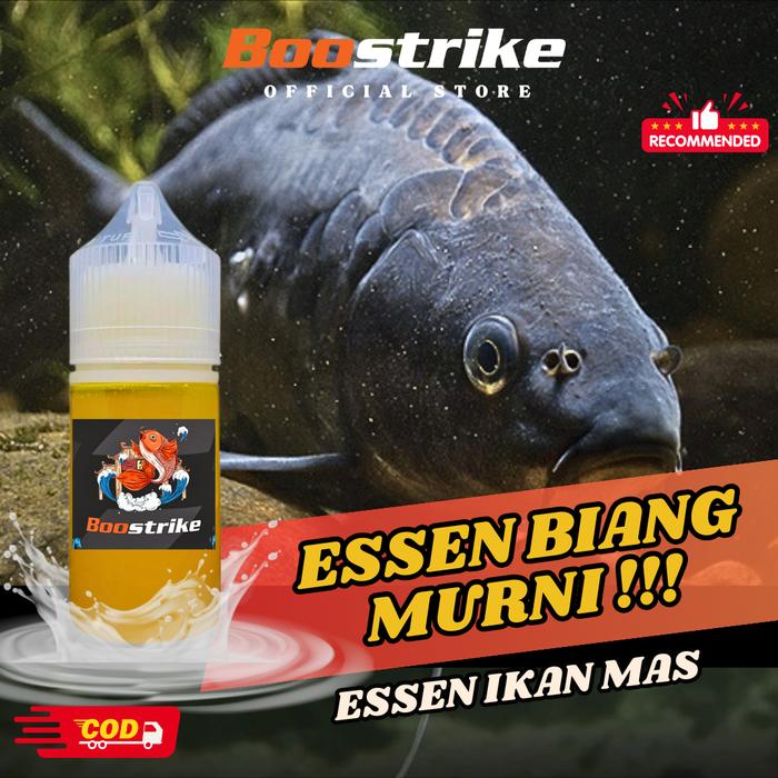 Gambar Boostrike - Essen Ikan Mas Aroma Jagung Bakar Susu Sereh Asli Paling Gacor, Essen Oplosan Ikan Mas Amis Wangi Gurih Spesial, Essen Ikan Mas Babon Rame Paling Ampuh Anti Boncos Umpan Pancing Mancing Lele dari Boostrike Kota Tasikmalaya Tokopedia