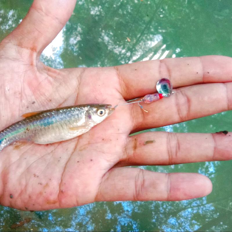 Umpan rayap lure micro fishing/umpan mancing untuk target wader pari, nila, betok, jungle peach dll 1