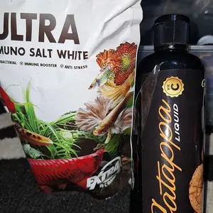 Catappa Liquid  Ekstrak Ketapang Cair Beli 2 Lebih Hemat