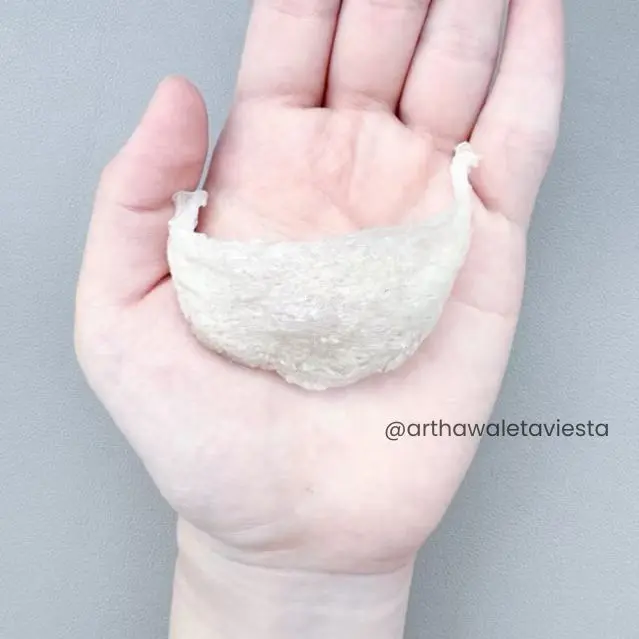 Sarang Burung Walet Sudut / Segitiga 1gr - Yanwo / Bird Nest 3