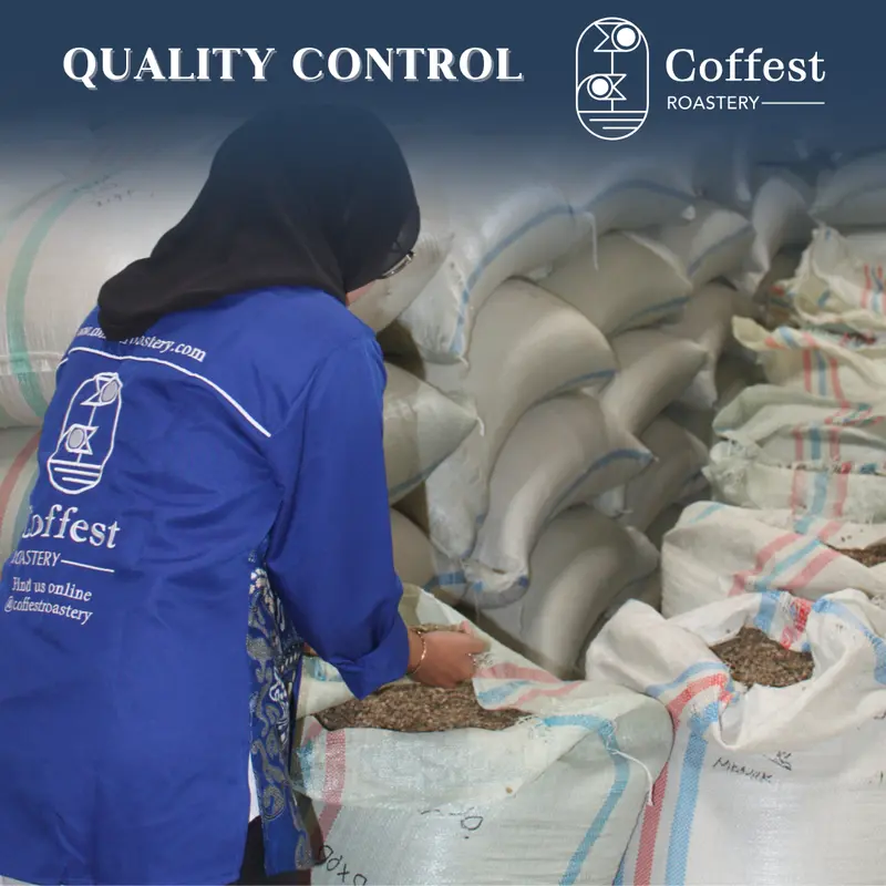 Green Bean Robusta Aceh - Grade 1 - Biji Kecil - Natural Processed - 1 kg 5