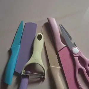 Set Pisau Dapur Stainless Steel 6 in 1 dengan Gagang Polymer dan Mata Pisau Baja Tahan Karat Kitchenware