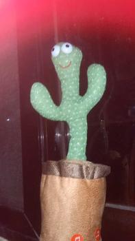 Product Review of Dancing Cactus Plush Toys Squeaking Cute Early Childhood Education Baby Toy from G**o 1
