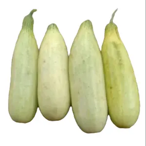 Timun Mentimun Segar 1kg - Menurunkan Tekanan Darah Tinggi dan Kolesterol - Kecombrang, Herbal