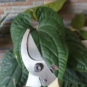 Gunting Dahan Ranting Tanaman Batang Daun Peralatan Berkebun Model Bengkok Alat Taman Ideal untuk Memotong Dahan dan Ranting Tanaman