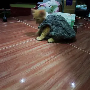 DONGWU mantel bulu anjing dan kucing Pakaian rompi anjing dan hewan mantel aksesoris hewan bahan bulu lembut halus