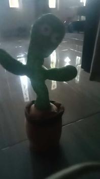 Product Review of COD Mainan Kaktus Bergoyang Boneka Kaktus Goyang dan Bicara Kaktus Joget Ngomong Set Hadiah Toys from s**l 0