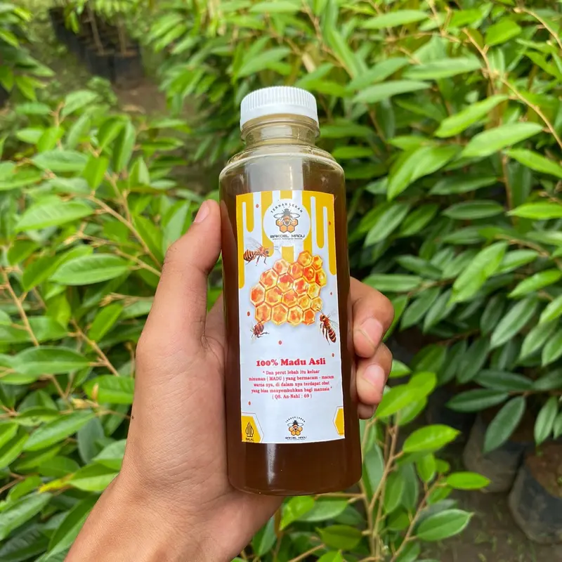 Madu Asli 100% Murni Mellifera Tanpa Campuran 250ml Honey Manis Syrup 1