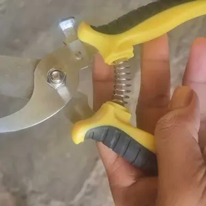 Gunting Taman | Pemotong Ranting | Gunting Dahan berkualitas Tajam | gunting pruning khusus untuk berkebun