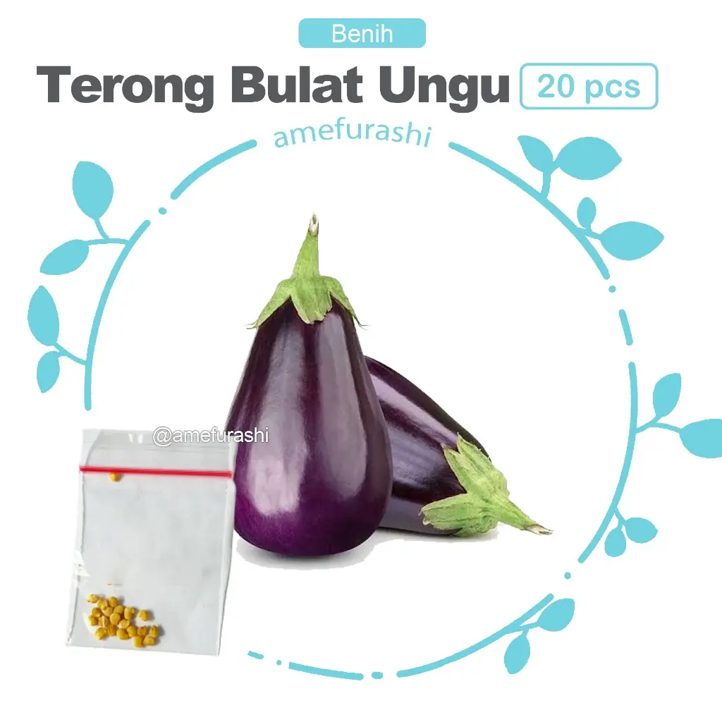 Terong Bulat Ungu 20 Biji