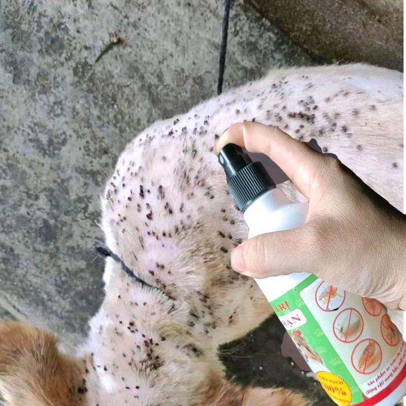 xịt ve bọ rận cho chó mèo - 300ml