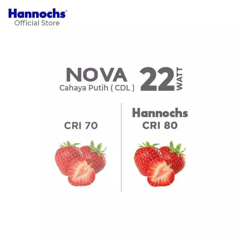 Hannochs Lampu LED Nova 22 Watt Super Terang - Putih/Coolday 3