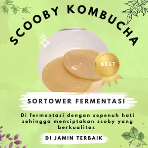 Bibit Membuat kombucha scoby ukuran 10-14 cm