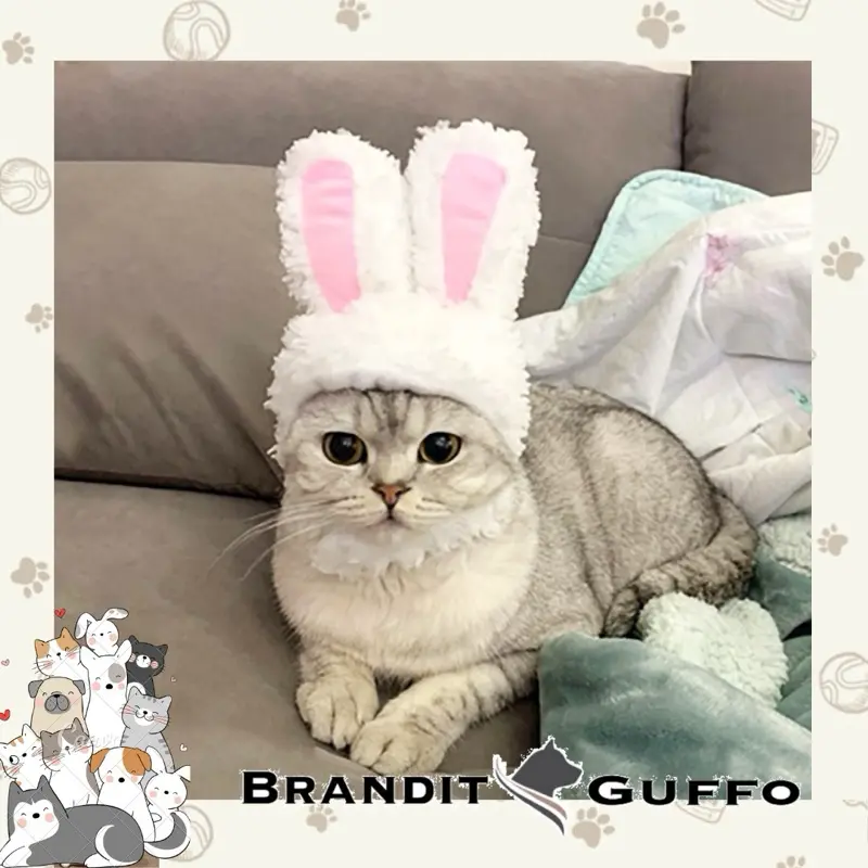 Topi kelinci bunny hat kucing attribute cat dog toys costume anjing
