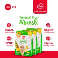 Gambar Oatsy Muesli Tropical Fruit 500g - (Triple Pack) dari Oatsy Oatmeal & Muesli Kota Administrasi Jakarta Barat 1 Tokopedia