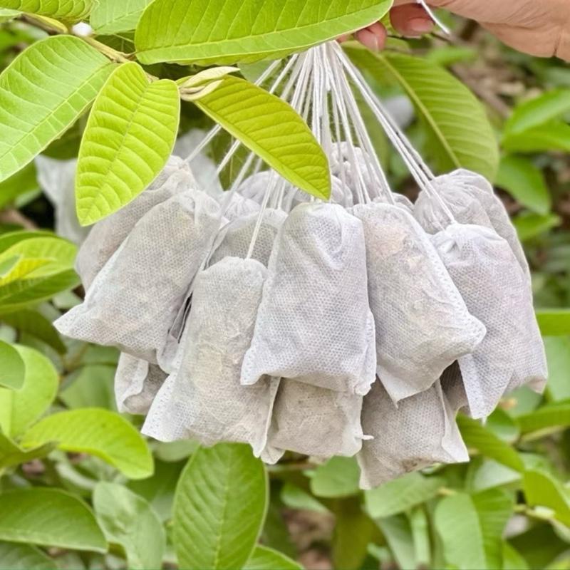  Combo 40 Túi Lọc Trà Lá Ổi Nguyên Chất Tea Sen  Chè 