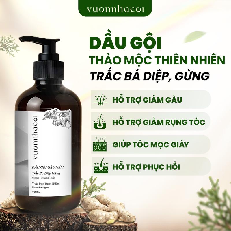 Dầu Gội Trắc Bá Diệp Gừng Vườn Nhà Cội Hỗ Trợ Giảm Gàu Giảm Ngứa Giảm gãy rụng Hỗ trợ mọc tóc Làm Sạch Da Đầu - 500ml