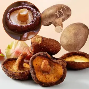 Jamur Shiitake Krispi Premium Rasa Gurih Renyah Camilan Sehat Keluarga