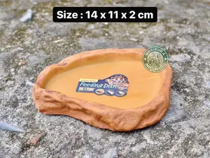 Exoterra Feeding Dish M / Tempat Makan Kura / Tempat Minum Kura