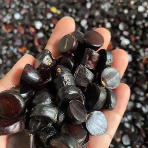 jolang jaling KABAU Dari Lampung 100gr