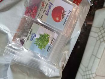 Product Review of Vegetable Seeds Pechay Kamatis  Sili Talong Ampalaya kangkong Okra Sitaw Pipino Bell Pepper Lettuce Upo Patola Labanos Sibuyas Bell Pepper Basil Celery Bokchoy Pakchoy butong gulay from P**6 0