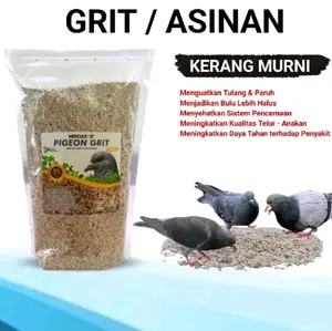PIGEON Grit Kerang Murni Merpati Asinan Burung Merpati 1KG untuk Merpati Balap Tinggi Pos dan Kolong Perkutut Anti Stres Menguatkan Tulang Paruh dan Stamina