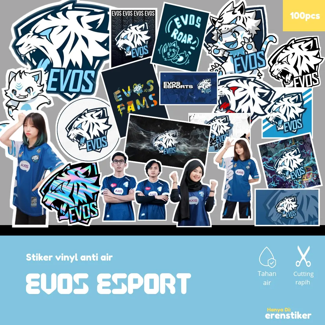 stiker vinyl anti air edisi club esport evos legend glory  raja galaksi , stiker helm, stiker case
