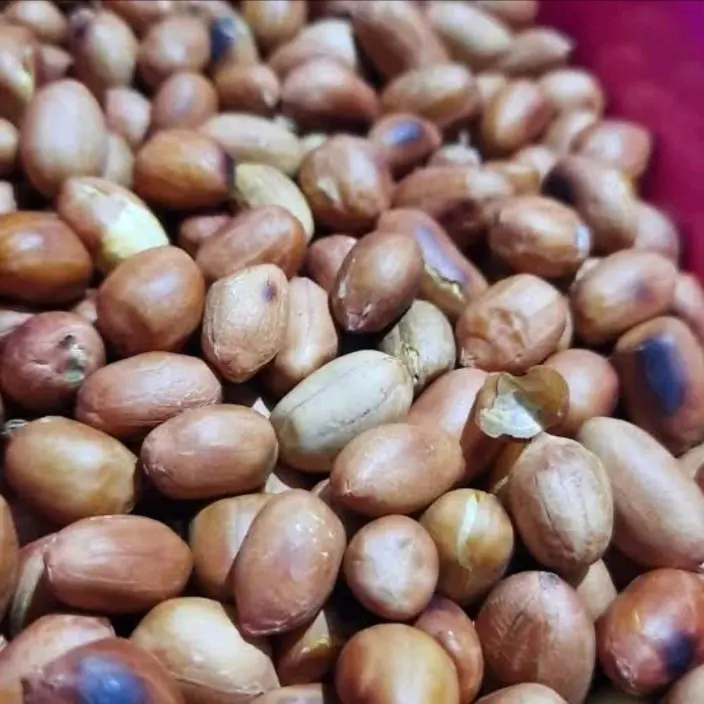 KACANG SANGRAI OSE 500gram