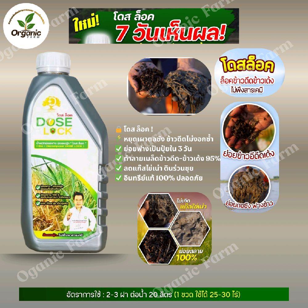 โดส ล็อค DOSE LOCK นวัตกรรมน้ำหมักอินทรีย์แท้ 100% จบปัญหาข้าวดีดในขวดเดียว ไม่เกิดแกะไข่เน่า ย่อยสล