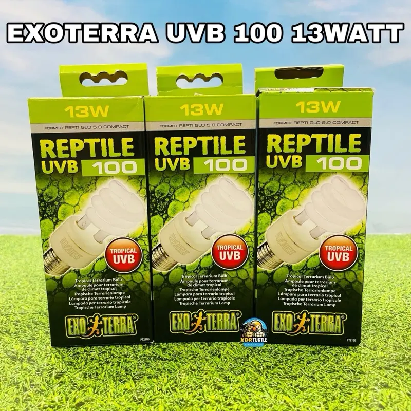 EXOTERRA UVB 100 13WATT LAMPU TORTO REPTIL SULCATA BEARDED DRAGON IGUA