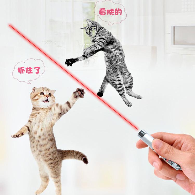 Product Introduction of Đồ Chơi Thú Cưng, Hàng Mới Về, Đèn Laser Trêu Chọc Mèo, Gậy Trêu Chọc Hồng Ngoại Laser Cho Mèo, Nhỏ Gọn Và Cầm Tay 0