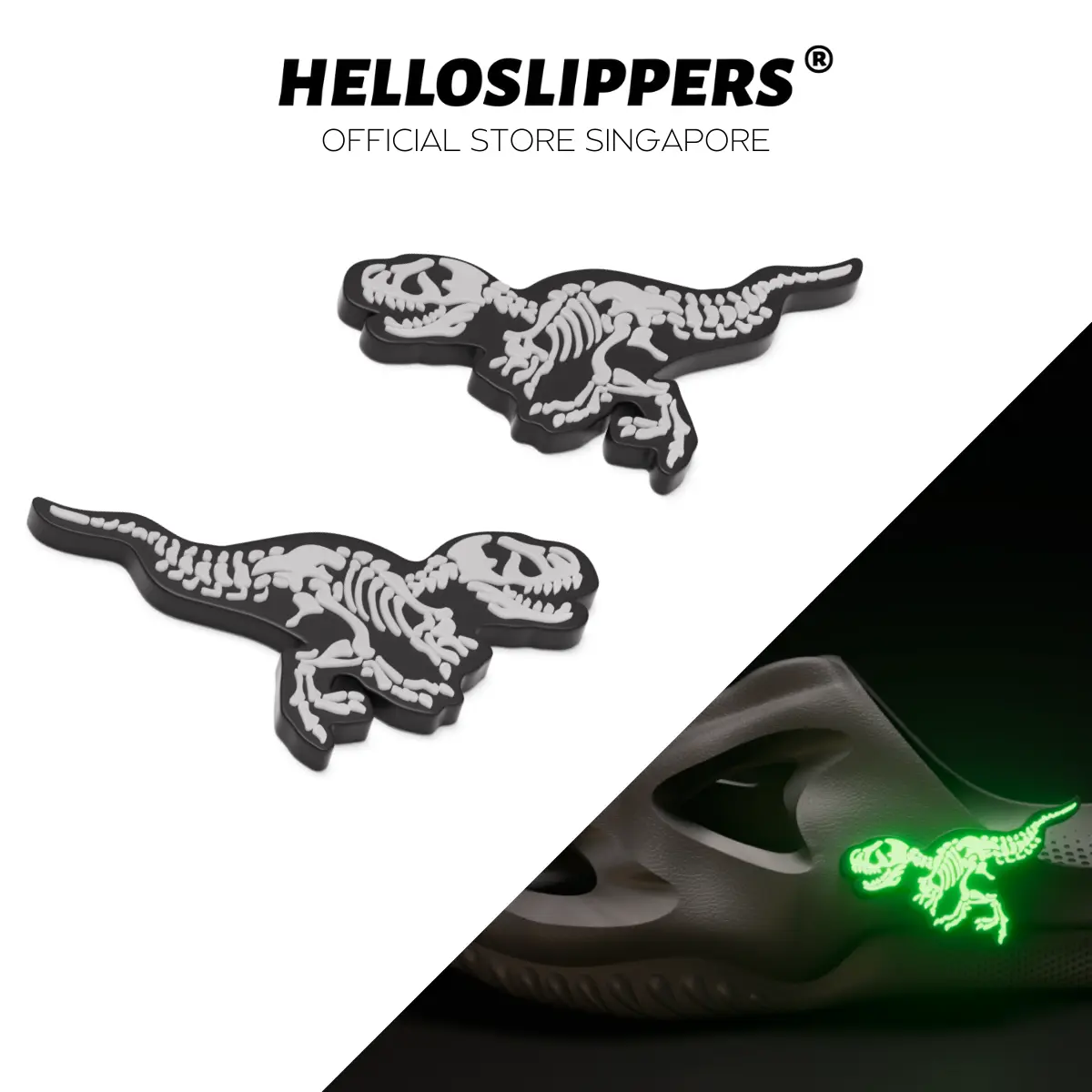 T-Rex Accessories for T-Rex Fossil Slide