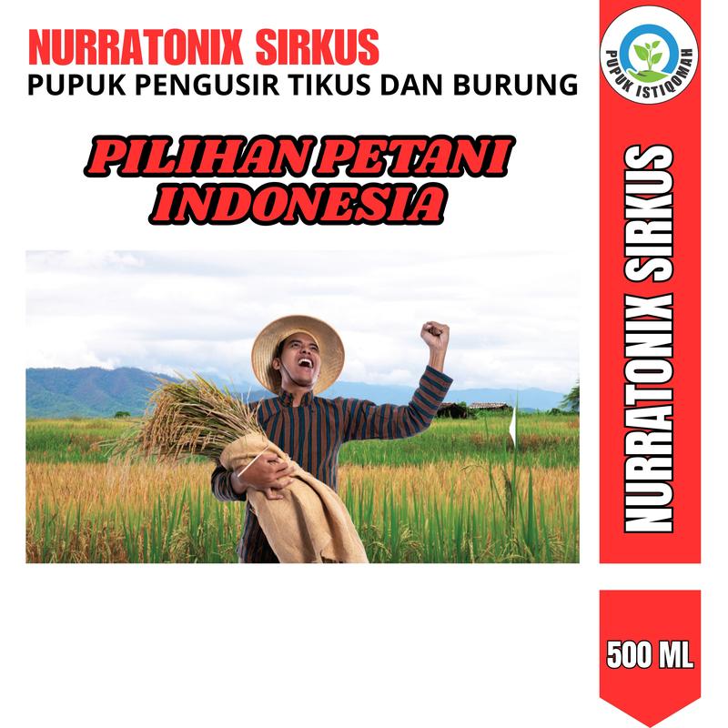 Product Introduction of Pupuk Cair NURRATONIX SIRKUS Obat Semprot Pengendali TIKUS, Pengendali Burung Padi, Tidak disukai WERENG, Obat Pengusir Lalat Buah - Obat Semprot Hama Tikus dan Burung Pipit Padi Sawah - Obat Pembasmi & Pengusir Tikus Burung Pipit Paling Ampuh Murah 25